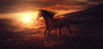 Картинка рисованное животные +лошади фон лошадь