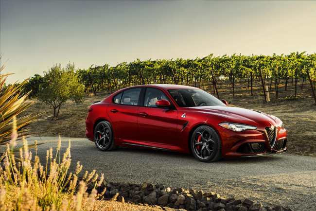 Обои картинки фото автомобили, alfa romeo, 2017г, quadrifoglio, giulia, 952, us-spec, alfa, romeo