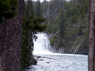 Картинка природа водопады поток водопад река ели