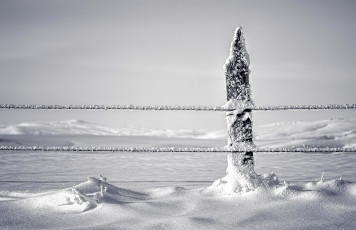 Картинка природа зима снег забор