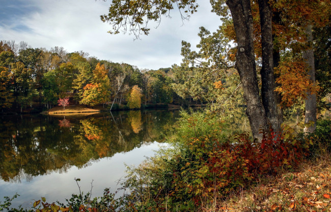 Обои картинки фото природа, реки, озера, осень, деревья, отражение, река, вода