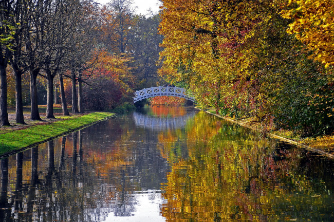Обои картинки фото природа, парк, осень, деревья, мост, река