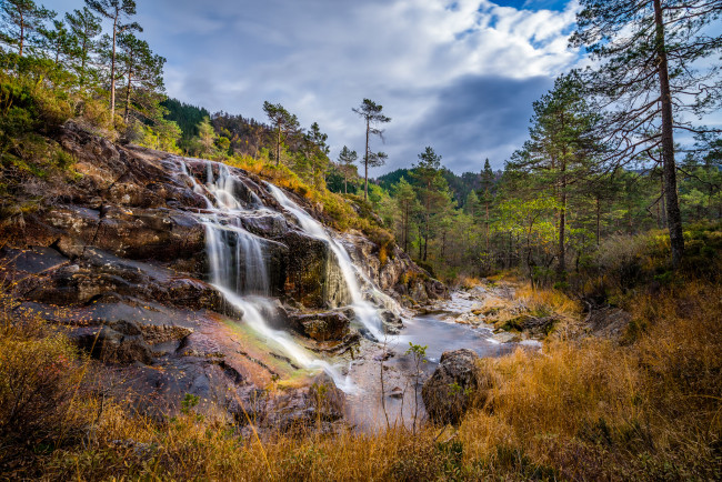 Обои картинки фото природа, водопады, река, водопад, лес