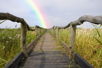 Картинка природа дороги радуга ограда дорога трава поле небо