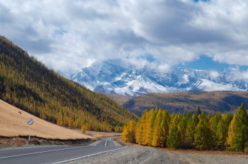 Картинка горный+алтай природа дороги облака осень деревья дорога горы россия алтай горный