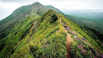 Картинка природа горы вершина тропинка