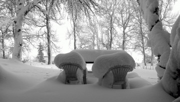 Картинка природа зима снег парк иней