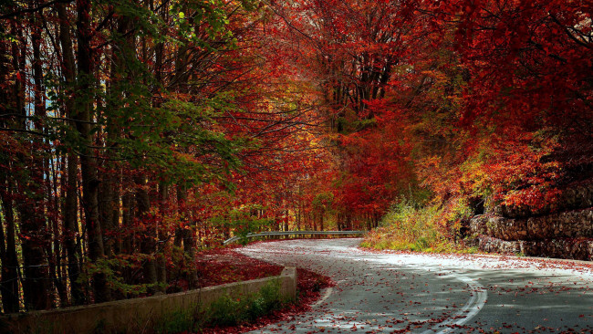 Обои картинки фото природа, дороги, осень, шоссе, дорога, листопад