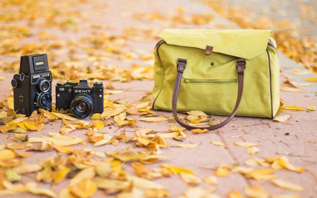 Обои картинки фото бренды, зенит, осень, камера, фотоаппарат, листья, сумка