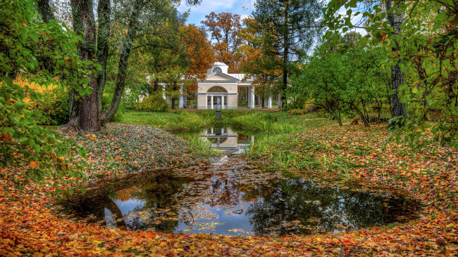 Обои картинки фото природа, парк, павловский, санкт-петербург
