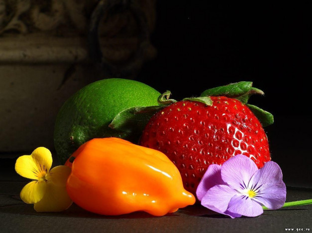 Обои картинки фото еда, фрукты, овощи, вместе