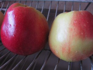 Картинка еда Яблоки капельки яблоки