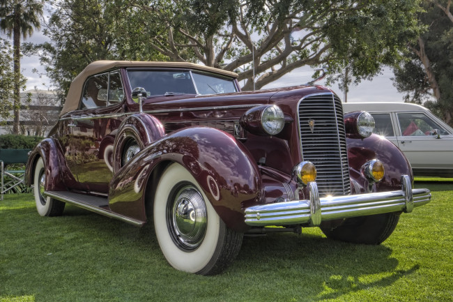 Обои картинки фото 1936 cadillac model 8067 v12 convertible coupe, автомобили, выставки и уличные фото, автошоу, выставка