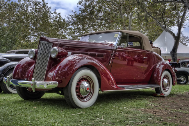 Обои картинки фото 1937 packard 115c convertible, автомобили, выставки и уличные фото, выставка, автошоу