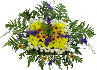 Картинка цветы букеты композиции папоротник хризантемы