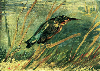 Картинка the kingfisher рисованные vincent van gogh зимородок