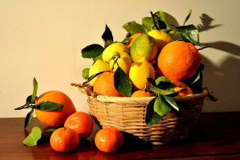 Картинка еда цитрусы апельсины лимоны корзина