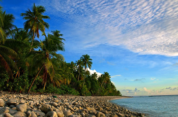 Картинка природа тропики море песок пальмы