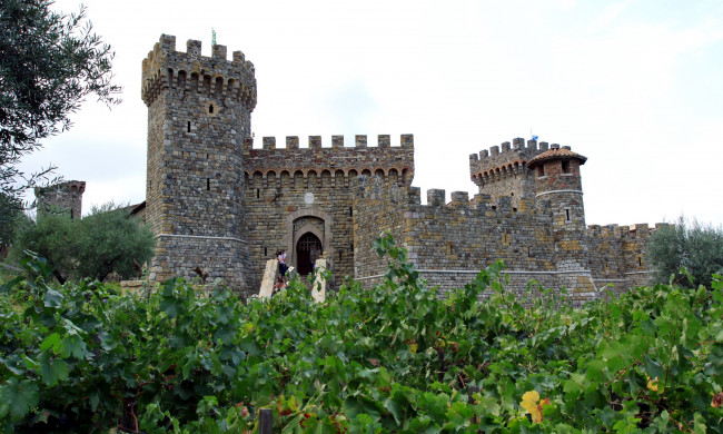 Обои картинки фото castello, di, amorosa, california, города, дворцы, замки, крепости, виноградник, башни