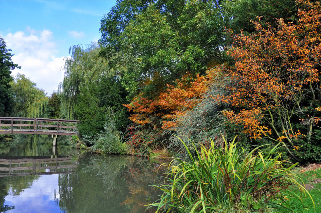 Обои картинки фото природа, парк, река, мостик, деревья