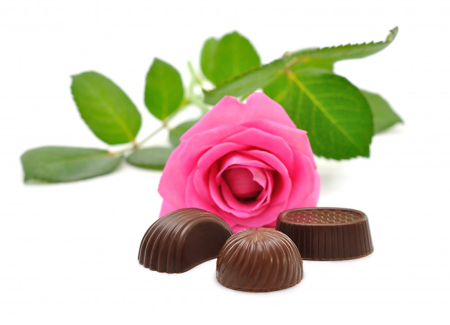 Обои картинки фото еда, конфеты, шоколад, сладости, роза