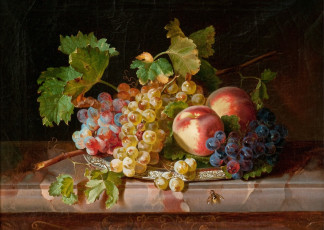 Картинка рисованные еда фрукты натюрморт