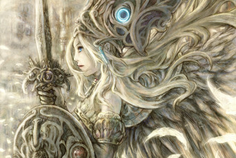 Картинка аниме -weapon +blood+&+technology броня арт меч девушка валькирия щит перья