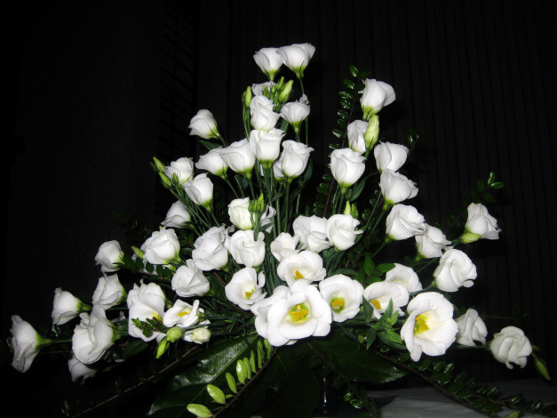 Обои картинки фото цветы, эустома, букет, белые