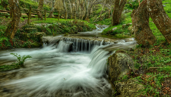 Обои картинки фото природа, водопады, лес, река