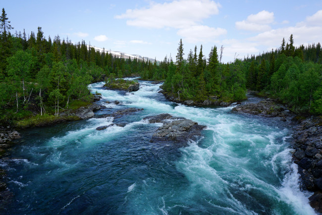 Обои картинки фото природа, реки, озера, река, лес, норвегия, деревья, камни, течение