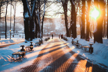 Картинка природа парк россия зима russia калуга kaluga город