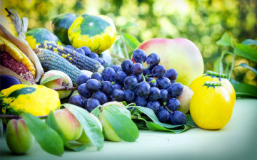 Картинка еда фрукты+и+овощи+вместе виноград тыква кукуруза персики