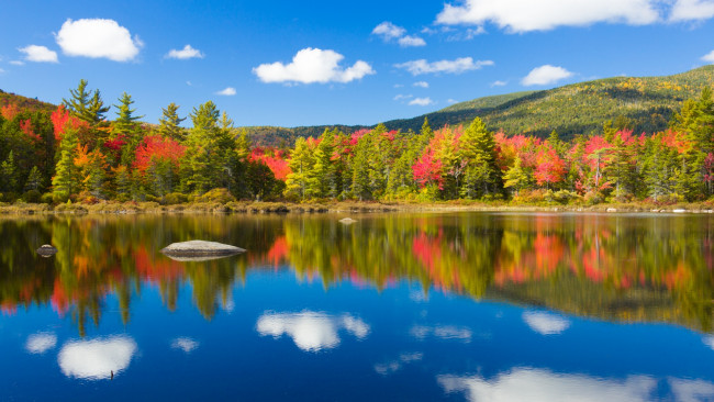 Обои картинки фото природа, реки, озера, осень, деревья, река, отражение