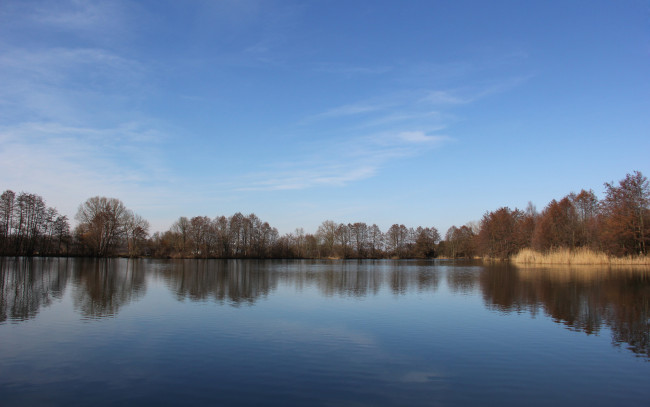 Обои картинки фото природа, реки, озера, озеро, деревья