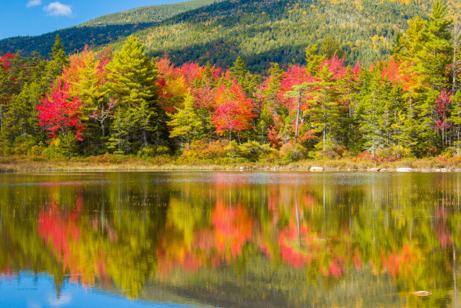 Обои картинки фото природа, реки, озера, осень, деревья, река, отражение
