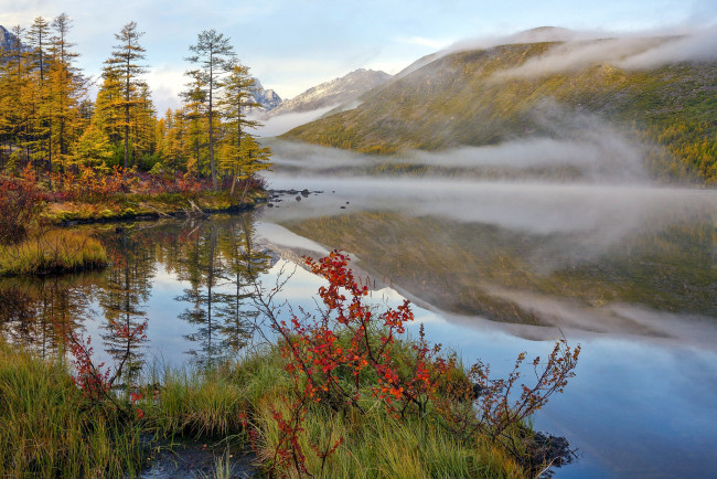 Обои картинки фото природа, реки, озера, осень, река, туман