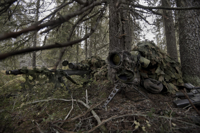 Обои картинки фото оружие, армия, спецназ, винтовка, лес, камуфляж, напарник, снайпер