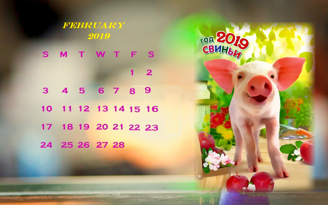 Обои картинки фото календари, праздники,  салюты, свинья, поросенок, яблоко