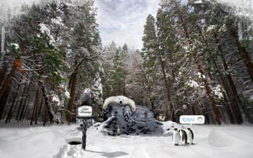 Картинка разное компьютерный+дизайн лес снег зима медведь пингвины сова