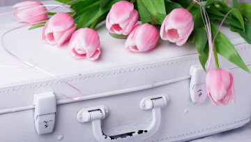 обоя цветы, тюльпаны, розовые, бутоны, чемодан