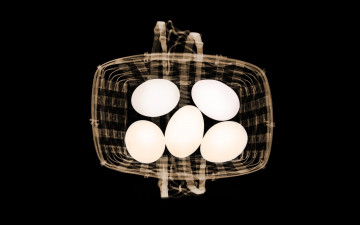 Картинка разное кости +рентген корзина яйца