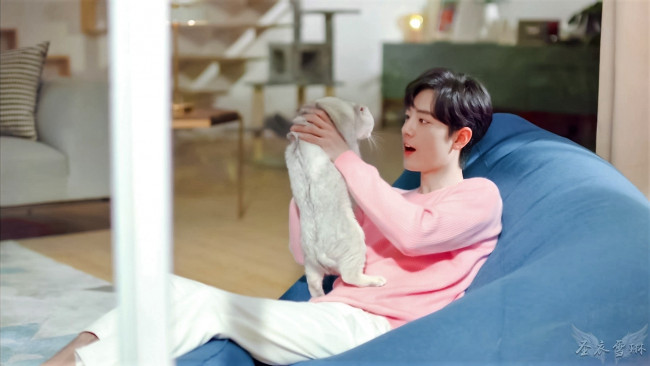 Обои картинки фото мужчины, xiao zhan, свитер, диван, кошка
