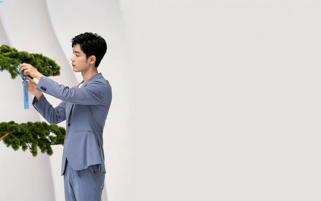 Обои картинки фото мужчины, xiao zhan, актер, костюм, дерево, ветки, ленточка