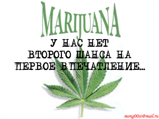 Обои картинки фото marijuan, юмор, приколы