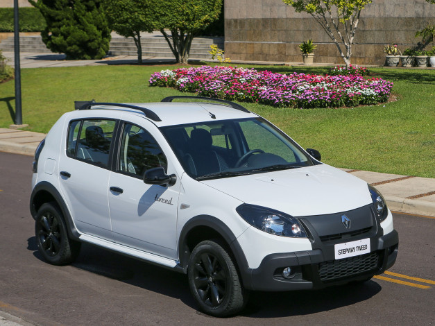 Обои картинки фото автомобили, renault, sandero, stepway, tweed, 2014