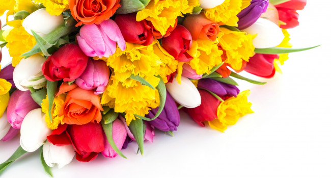 Обои картинки фото цветы, разные вместе, букет, тюльпаны
