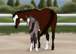 Картинка рисованное животные +лошади лошадка взгляд лошадь