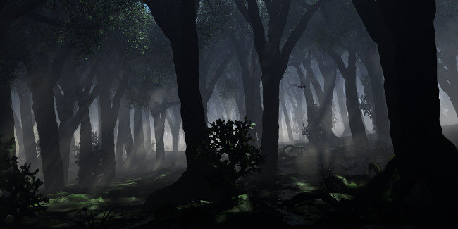 Обои картинки фото 3д графика, природа , nature, туман, лес