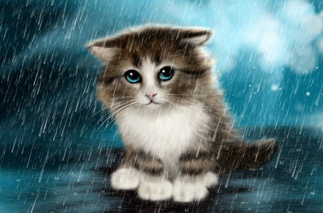 Обои картинки фото рисованное, животные,  коты, котенок, дождь, грусть