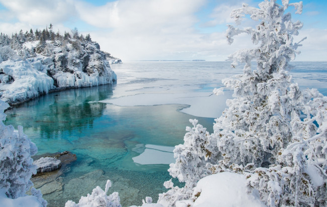 Обои картинки фото природа, зима, национальный, парк, брус, онтарио, канада, залив, снег, лёд, дерево
